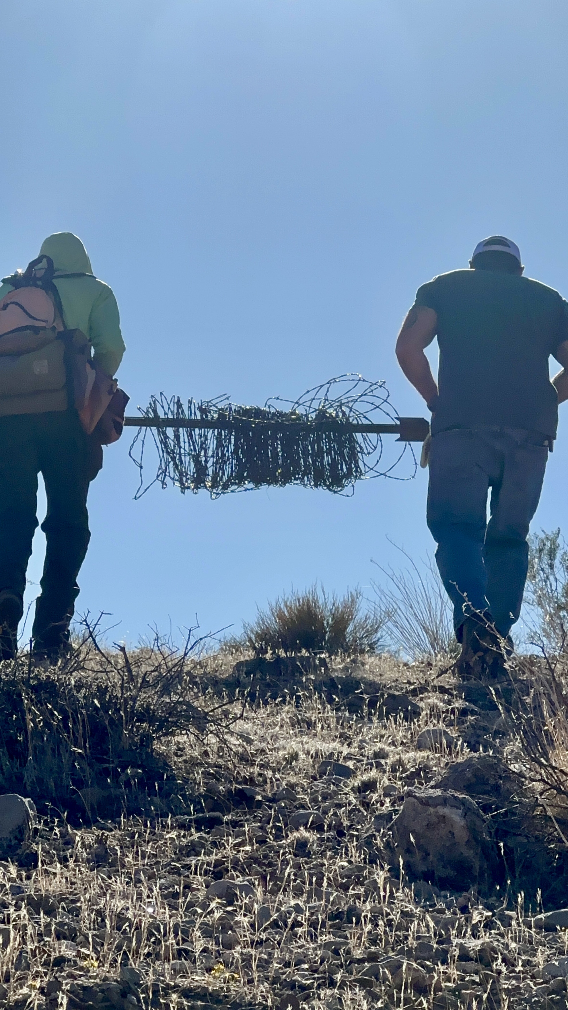 carrying wire 